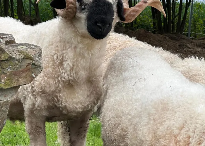 منزل للإقامة Chateau Bernhart